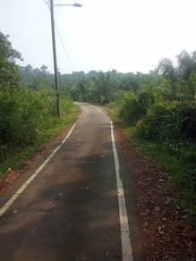Agricultural Land in Segamat, JHR