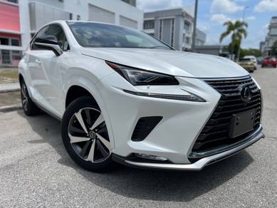 Lexus NX 300 PREMIUM in Cyberjaya, SGR