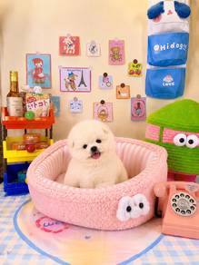 Teddy bear baby girl tiny Pomeranian