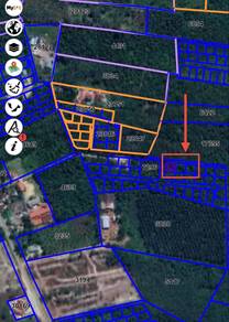 Residential Land in Pasir Mas, KTN