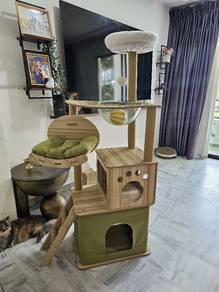 Used - Cat Tree House (Green Color)