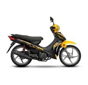 SM Sport 110E