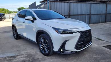 Lexus NX 250 LUXURY in Cheras, KUL