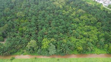 Agricultural Land in Pontian, JHR