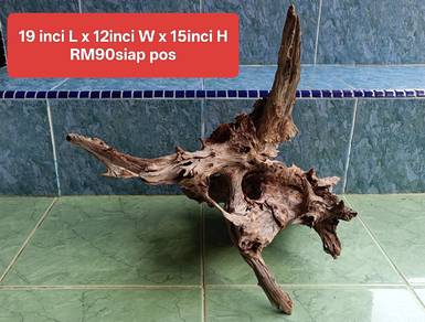 kayu aquarium bertanduk - driftwood