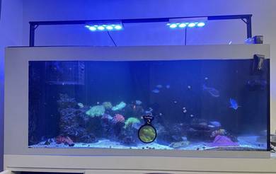 Full Set Marine Aquarium For SALE