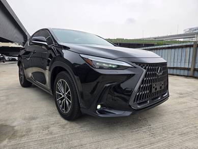 Lexus NX 250 LUXURY in Chan Sow Lin, KUL