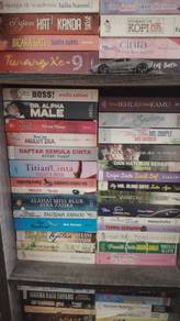 novel