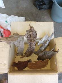 kayu driftwood akuarium 