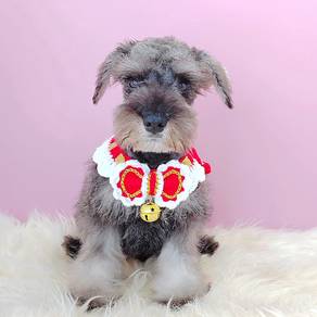 Schnauzer