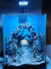 Fantasy Aquascape 