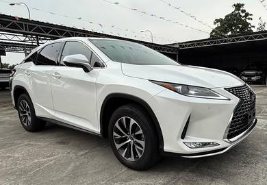 2021 Lexus RX 300 LUXURY