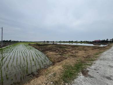 Agricultural Land in Sungai Besar, SGR