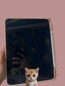 11 -inch iPad Wi-Fi 256gb (likenew) 