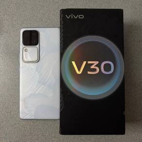Vivo V30 24GB+256GB