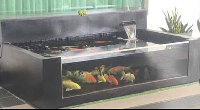 Koi fish + Fibreglass pond