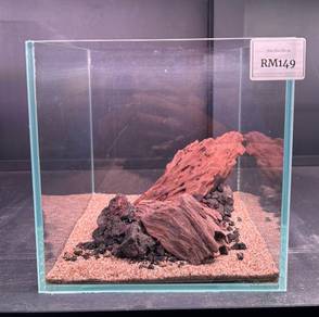 Tank + Hardscape