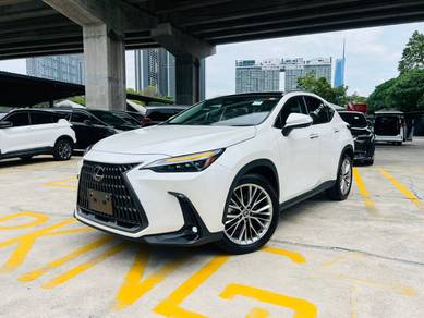 Lexus NX 250 LUXURY in Cheras, KUL