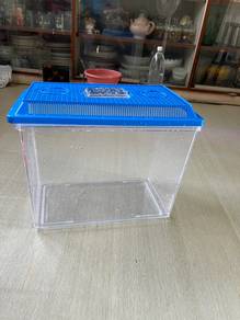 fish or turtle Aquarium