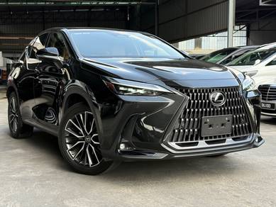 2023 Lexus NX 250 LUXURY
