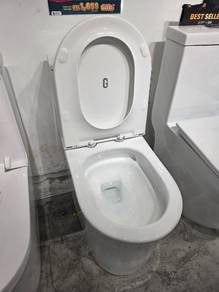 Toilet Bowl
