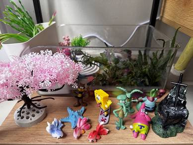 Aquarium Kura Kura & Setup