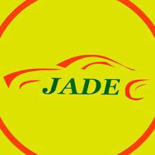 Used Car Sales Advisor