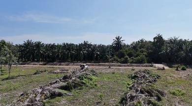 Agricultural Land in Kuala Sungai Baru, MLK