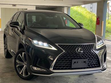 2022 Lexus RX 300 LUXURY