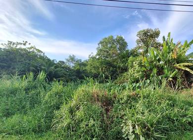 Agricultural Land in Sungai Buloh, SGR