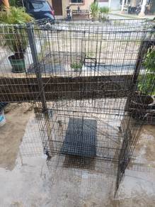 Sangkar Kucing q