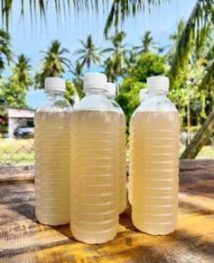 Air Nira Air Kelapa Air Tebu