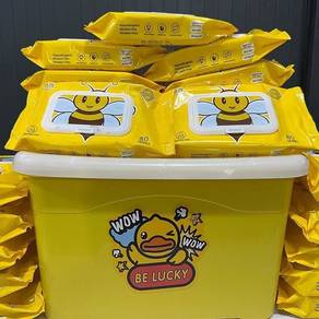 Portable Everyday Multi-Purpose Wet Wipes Set