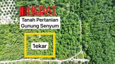Agricultural Land in Temerloh, PHG