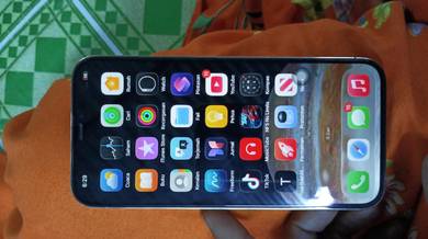 ipone 12 pro max 