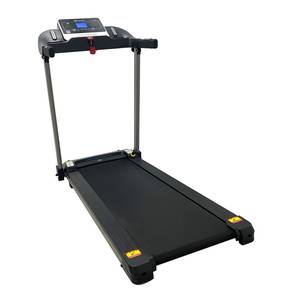 Ogawa Treadmill Running
