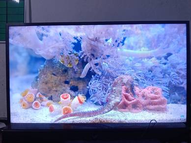 Tv Samsung LED 40 Inci