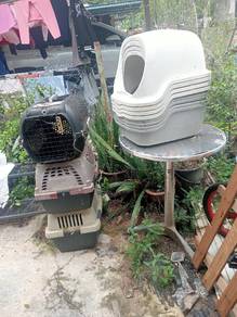 tempat kucing smua ada