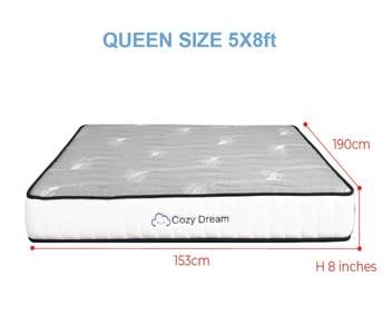 Queen Mattress