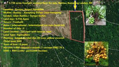 Agricultural Land in Rantau, NSN