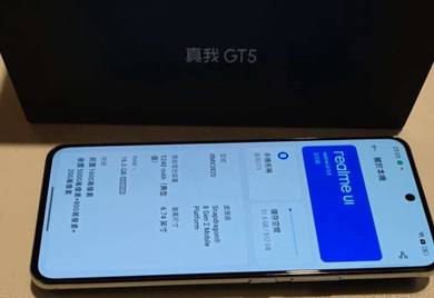 Realme GT5 256 GB