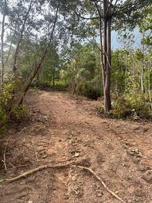 Agricultural Land in Raub, PHG
