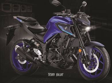 Yamaha MT250