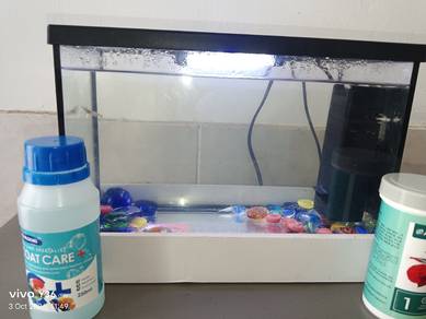 Mini Aquarium / Mini Fish Tank Set / Led & Oxygen 