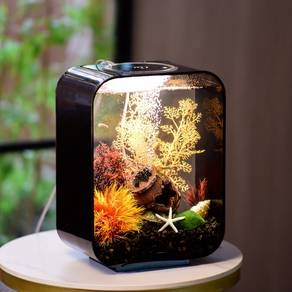 18L Mini Fish Tank Aquarium Kit with LED Lighting