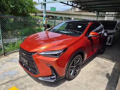 Lexus NX 250 LUXURY in Cheras, KUL