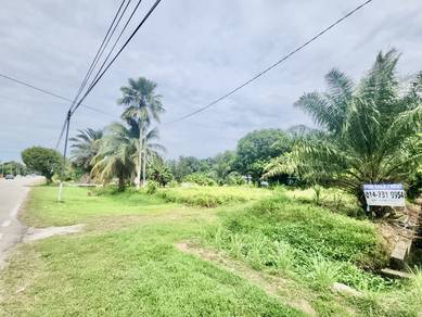 Agricultural Land in Muar, JHR