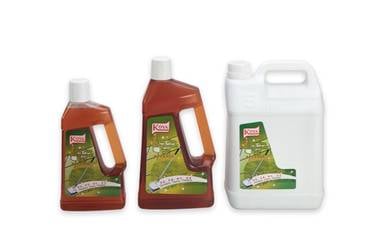 Koya P-103 Pine Fresh 松香杀菌芳香剂 1 Liter x 12