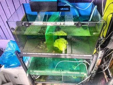 aquarium 2ft