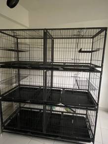 Sangkar Besar Kucing